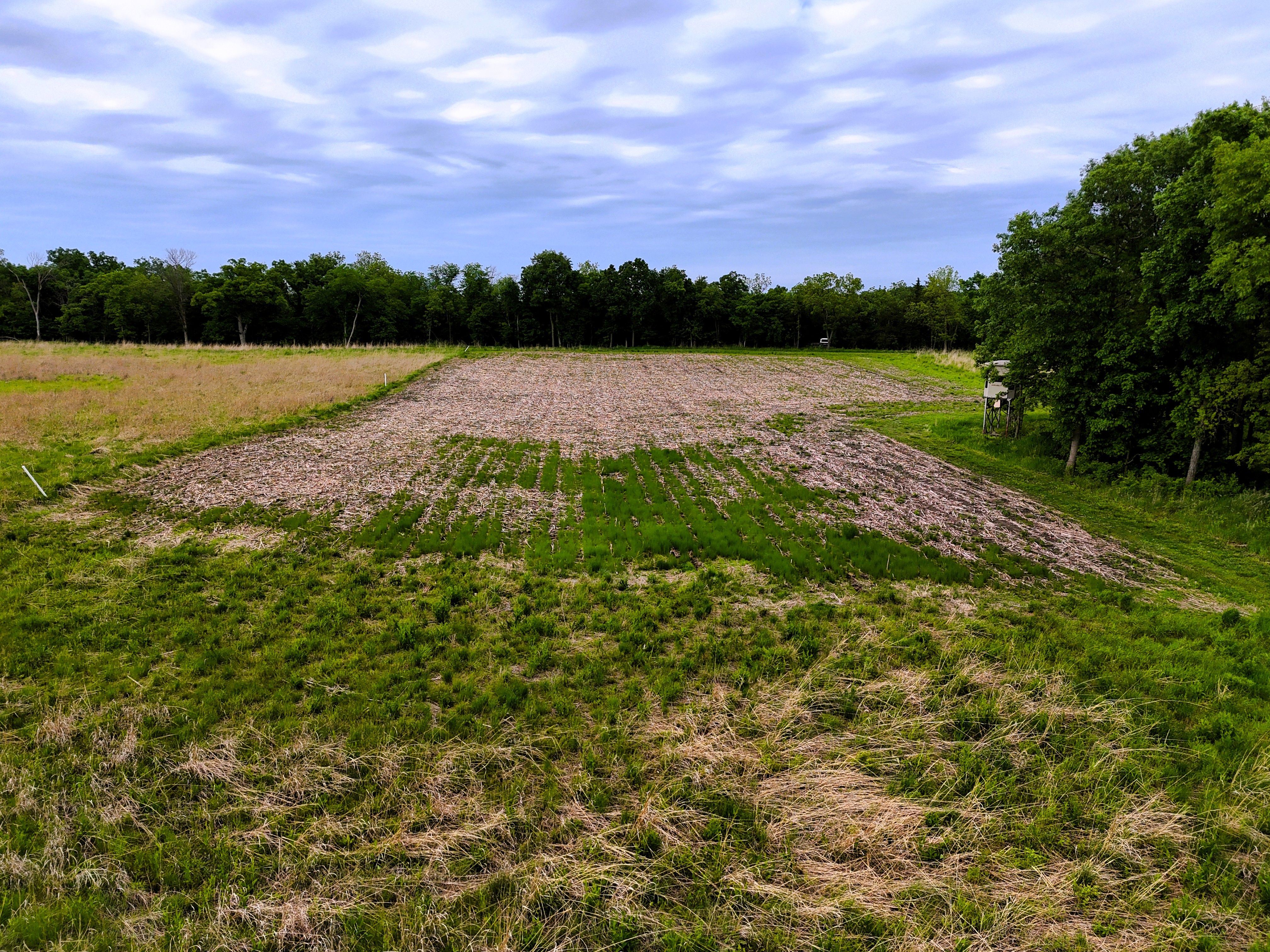 Listing Photo: Ground 13